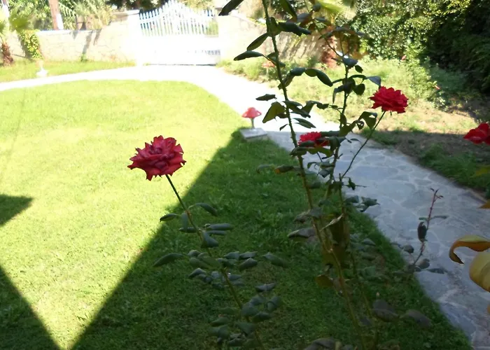 Lägenhetshotell Basil Tsilivi (Zakynthos)