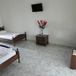 Basil 2*