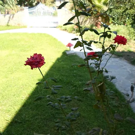 Aparthotel Basil Planos